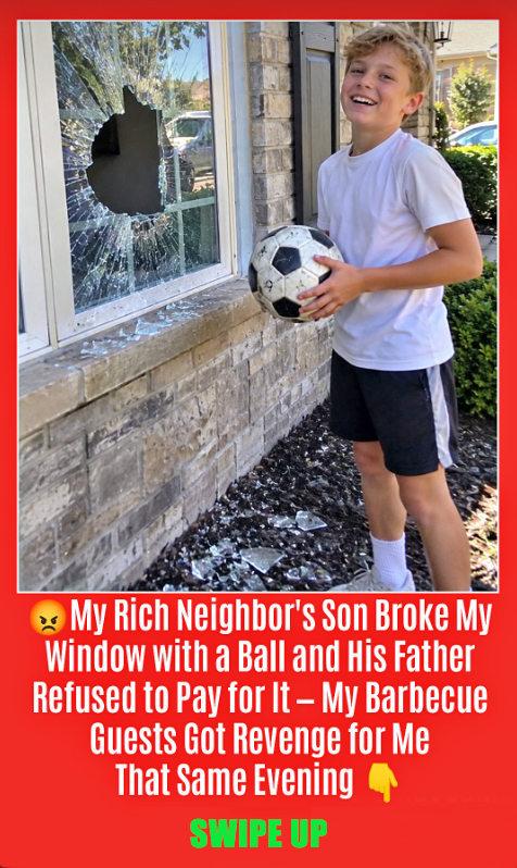My Rich Neighbor’s Son Broke My Window with a Ball, and His Dad Refused to Pay – My Barbecue Guests Got Revenge That Evening