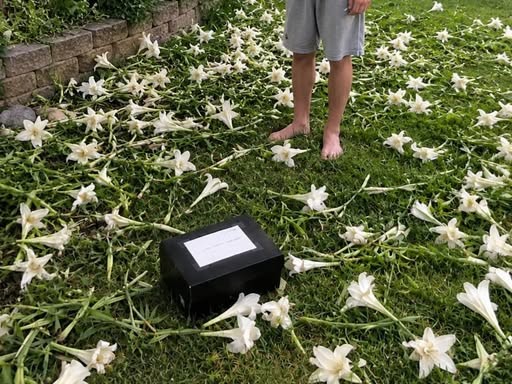 My surviving twin son planted lilies every year for the sister he lost at birth. On their 15th birthday, we found every flower cut down and a black box sitting in the center.  